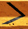 bullet